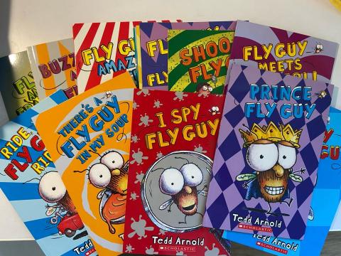 李文心 - FLY GUY經典英文繪本導讀
