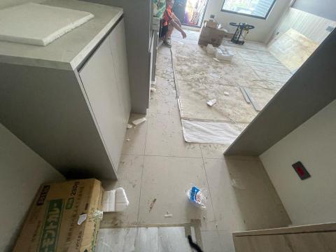 楊傅彩鳳 - 地面清潔前