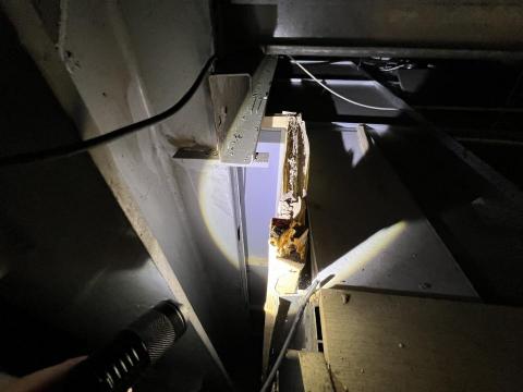 經緯度環境保護有限公司 - 白蟻