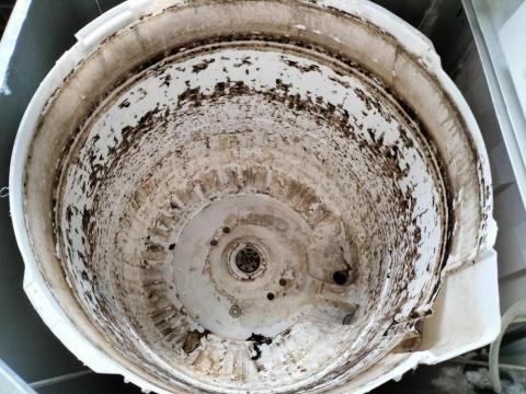 潔淨清黴菌 -  潔淨清黴菌 -