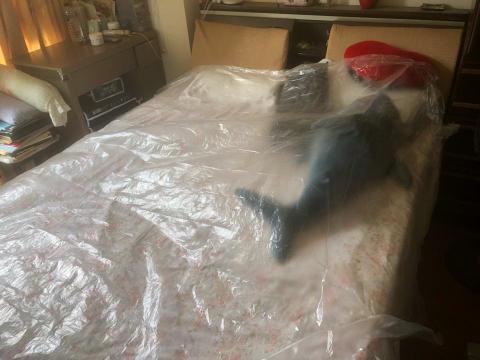 車鈺鴻 - 清洗前保護