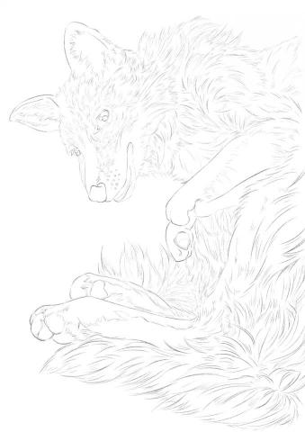 TONG TONG❤️STUDIO ART🎨 - 電繪動物