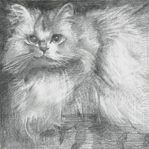 提供法文服務的專家chiawen chung