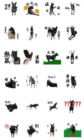 MM  - 寵物動態貼圖（因圖檔關係看不見動態效果）