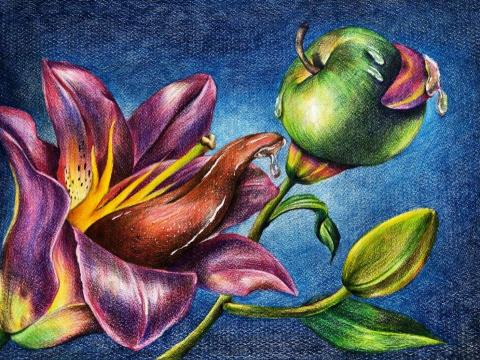 李玟 - 色鉛筆繪畫