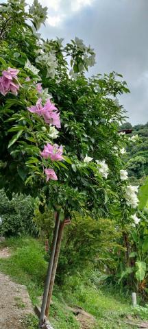 提供汐止瓦斯服務的專家詠泉