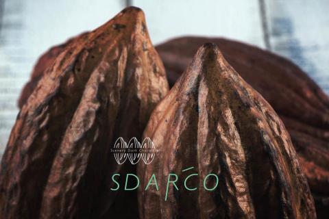 利昂創思 -  利昂創思 -