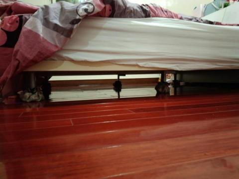 曉窩居家清潔 - 