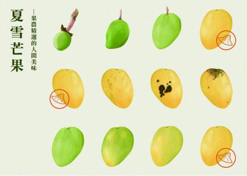 ChihYu - 風格插畫