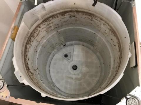 家電/寢具/沙發保養清洗 - 平均一週洗衣兩次的外筒髒污情況