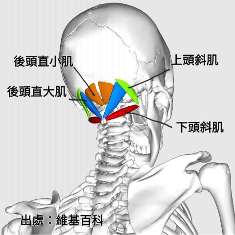 馬沙吉-中部傳統整復推拿按摩 - 滑手機造成頸椎肌肉緊繃痠痛 馬沙吉-中部傳統整復推拿按摩 - 滑手機造成頸椎肌肉緊繃痠痛