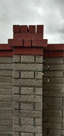 白星昭 - 貼百歲磚