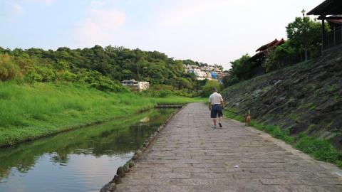 大自然--寵物寄宿 - 家裡附近自然生態步道的風景(照片中的是拍攝別人在遛狗~不是我喔~)