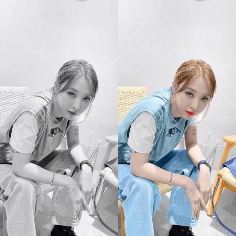 刺蝟haru - 黑白圖上色