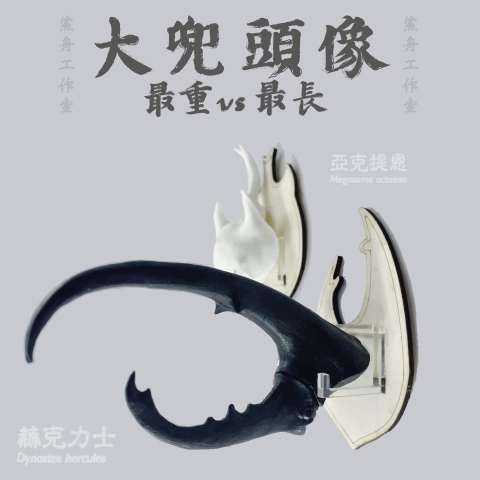 廖翊庭 - 以動物的標本頭骨做為發想，結合雷雕壓克力及木板，創造可磁吸的雄偉甲蟲頭像。