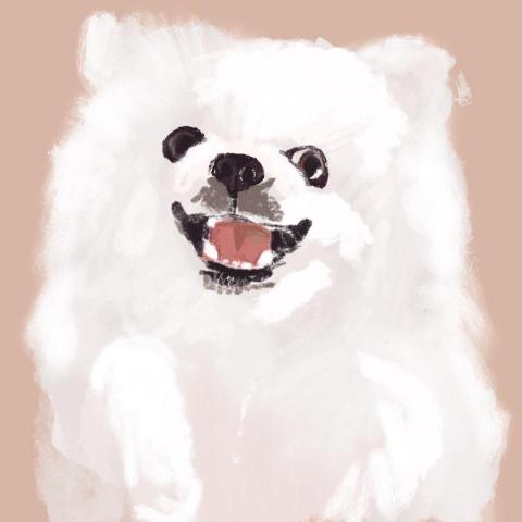 Ting - 寵物插畫設計、寵物似顏繪