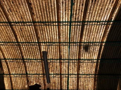 陳倖容 - 安裝前