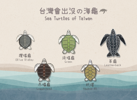 廖翊庭 - 以台灣會出沒的五種海龜做為發想，參考現實的龜殼紋路及實際大小，搭配限定背板，做出極具收藏價值的海龜金屬徽章。