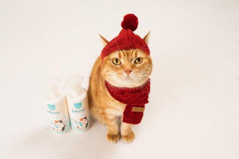 個人工作室 - 跨界合作