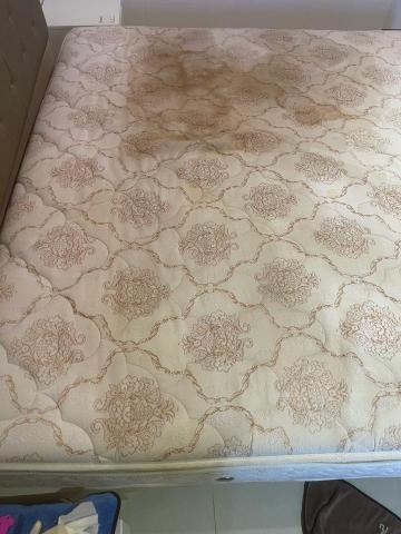 TINA - 床墊一半清洗一半還沒清洗