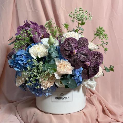 里甌丹特 花藝訂製 Riodante Floral - 商業花禮 - 祝福盆花