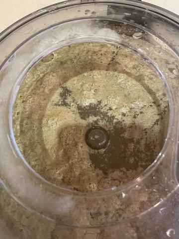 TINA - 沙發塵蟎更多