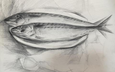 石志明 - 鉛筆素描，業餘班示範