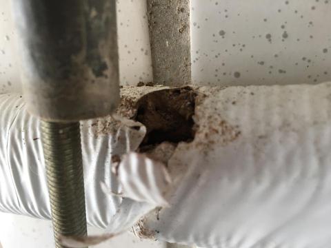 昌盛消毒有限公司 - 