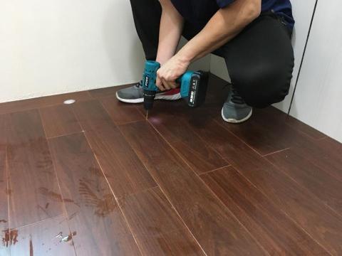 昌盛消毒有限公司 - 白蟻防治