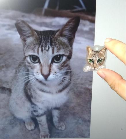 張毓庭 - 客製化熱縮片