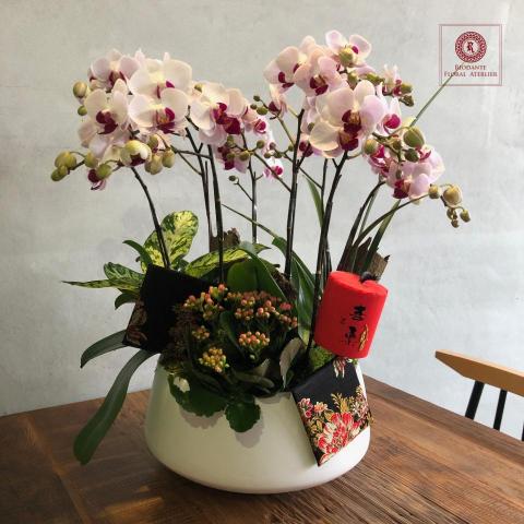 里甌丹特 花藝訂製 Riodante Floral - 蘭花組合-蝴蝶蘭