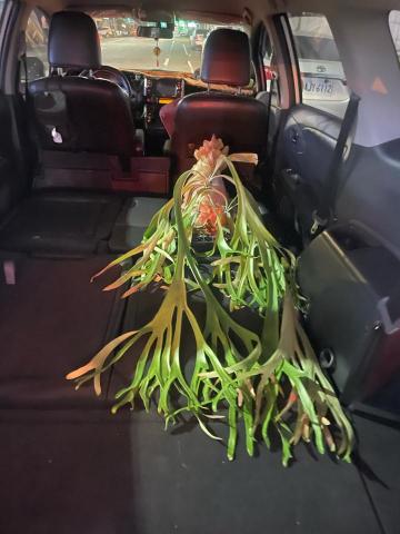 陳希壤 - 後座120*170公分，可載運小型家電及物品。讓您的物品免受風吹日曬