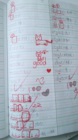 張麗文 - 升小三的學生