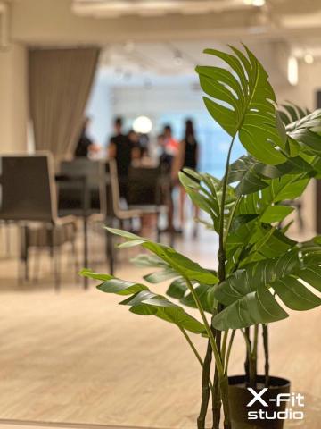 X-fit studio體適能工作室 - 