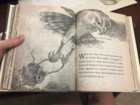 謝彤禧 - 視孩子需求 導讀英文小說 以培養語感與興趣