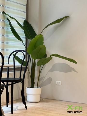 X-fit studio體適能工作室 - 