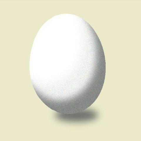 嘎嘎個人工作室 - 雞蛋寫實 平面設計