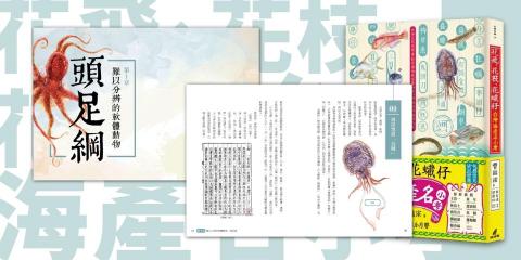 Mandy*12年美編老手 - 