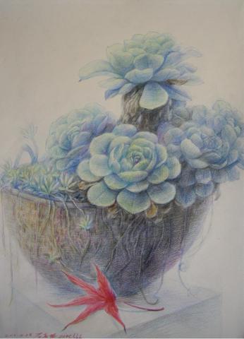 石默美術研究室 - 色鉛筆、成人班示範