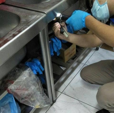 殺蟲技除蟲 - 蟑螂點藥防治