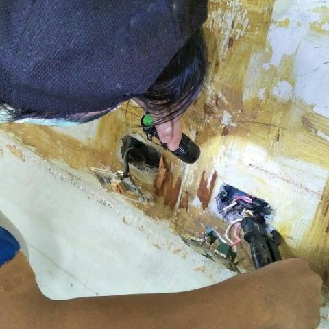 殺蟲技除蟲 - 白蟻鑽孔防治