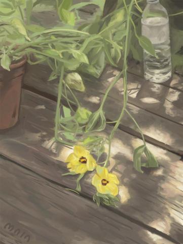 馬不講話 maia 插畫 - 淡雅植物插畫