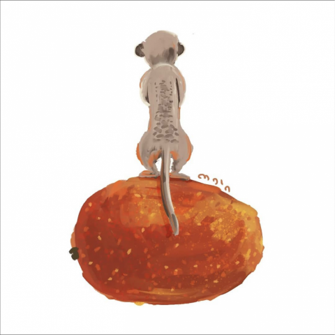 馬不講話 maia 插畫 - 可愛動物插畫