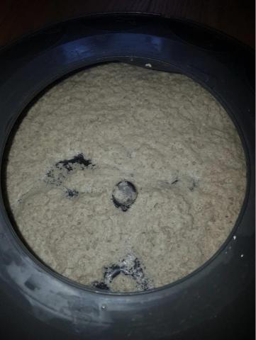 JEJ潔意捷除蟲消毒有限公司 - 塵蟎 JEJ潔意捷除蟲消毒有限公司 - 塵蟎