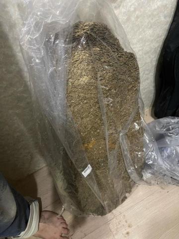 24H專業生物防治(病媒防治) -  24H專業生物防治(病媒防治) -