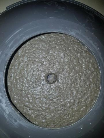 JEJ潔意捷除蟲消毒有限公司 - 塵蟎 JEJ潔意捷除蟲消毒有限公司 - 塵蟎