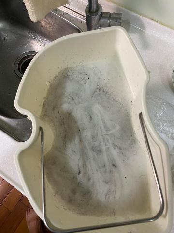 玄騏清潔 - 地毯清洗後 塵蟎及髒污 玄騏清潔 - 地毯清洗後 塵蟎及髒污