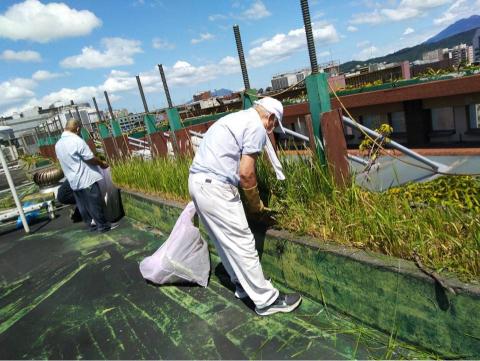 美裝公寓大廈管理維護股份有限公司 - 除草作業