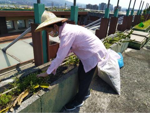 美裝公寓大廈管理維護股份有限公司 -  除草作業