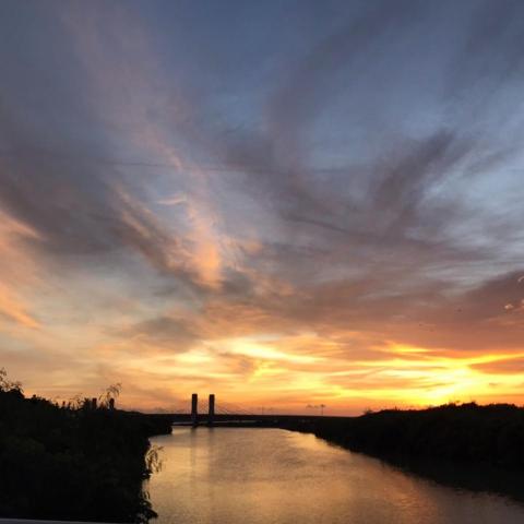 提供soho族勞保服務的專家果紅李